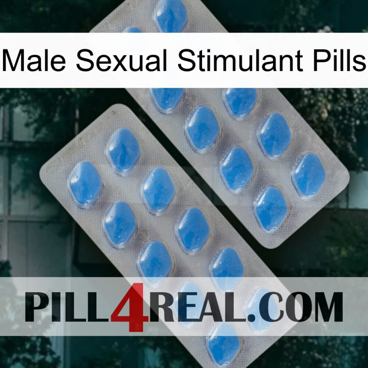 Male Sexual Stimulant Pills 23